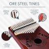17-Key Kalimba Thumb Piano - Christmas Holiday Stocking Stuffer & Music Gifts - Complete Beginner Kit & Music Maker Set - Portable Carrying Bag for Ki