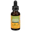 Herb Pharm - Angelica - 1 Each-1 Fz