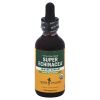 Herb Pharm - Super Echinacea - 1 Each-2 Oz
