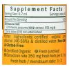 Herb Pharm - Echinacea Extract - 1 Each-1 Fz