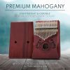 17-Key Kalimba Thumb Piano - Christmas Holiday Stocking Stuffer & Music Gifts - Complete Beginner Kit & Music Maker Set - Portable Carrying Bag for Ki